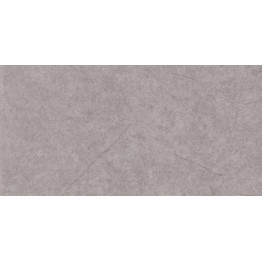 Gạch ốp tường Trường Thịnh MATT STONE Y360210